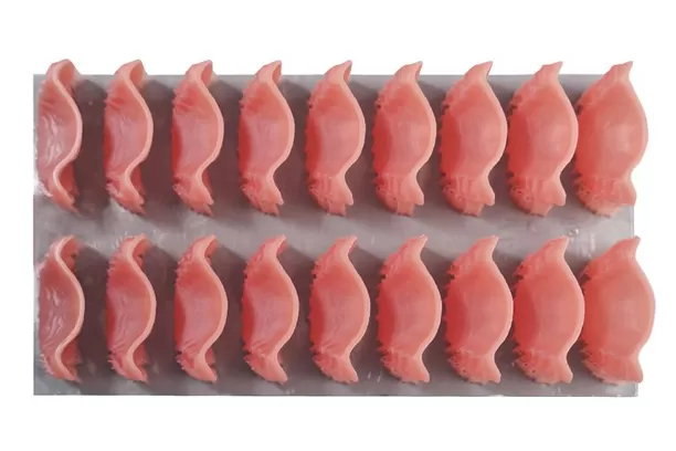 डेन्चर बेस