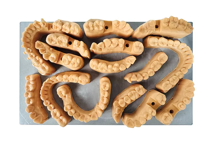 प्रत्यारोपण मॉडल