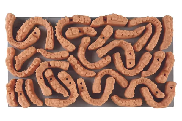 प्रत्यारोपण मॉडल