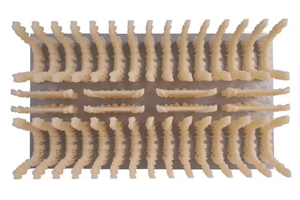 अस्थायी मुकुट