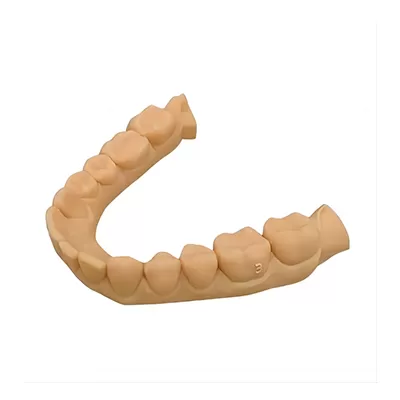 मॉडल एक्स राल