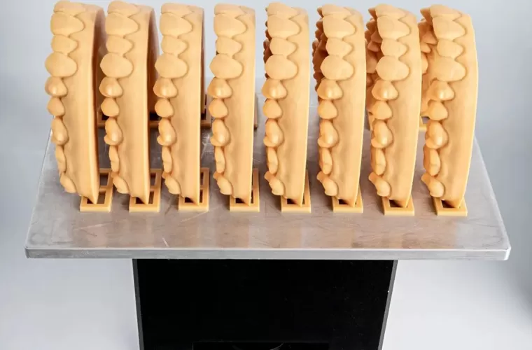 डिजाइनर मॉडल