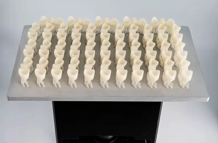 अस्थायी मुकुट और पुल