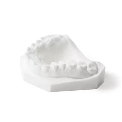 रिकॉर्ड मॉडल राल