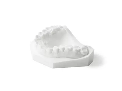 रिकॉर्ड मॉडल राल