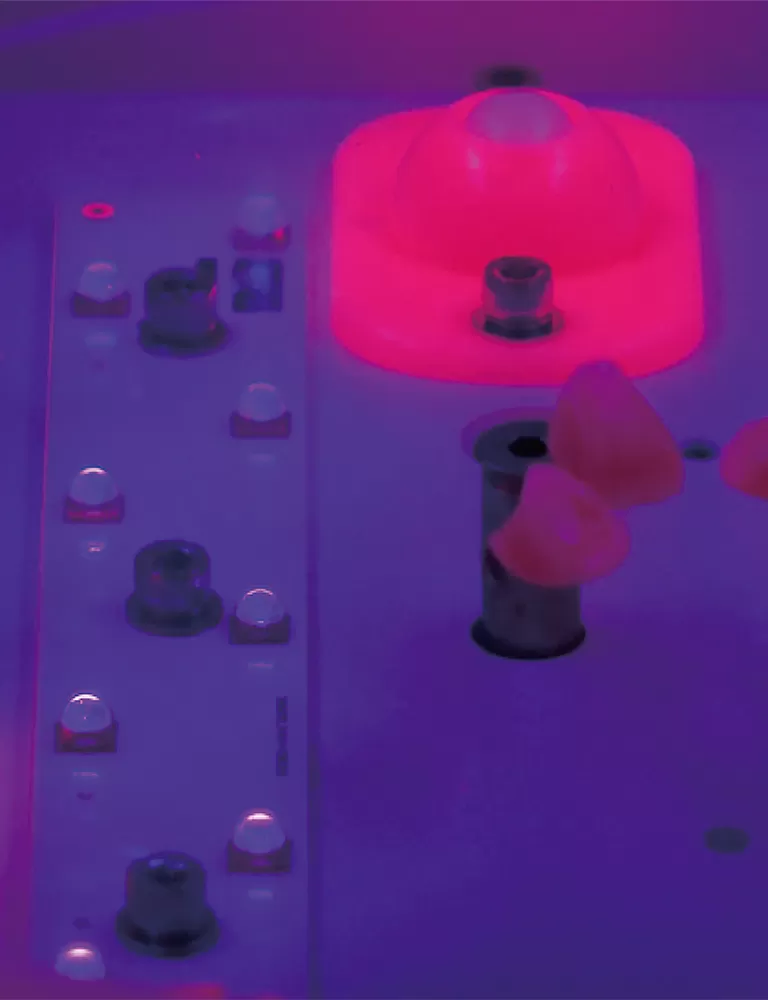 अपने 3 डी प्रिंट को रेशेप पेशेवर पोस्ट-प्रोसेसिंग समाधान के साथ