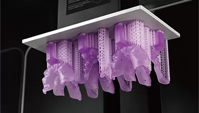 ट्रे बैंगनी राल