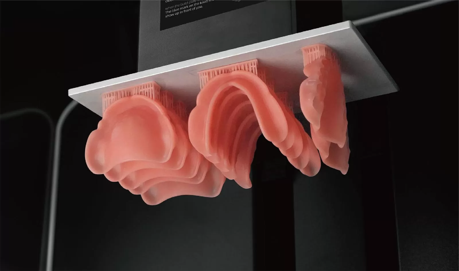 डी गुलाबी राल