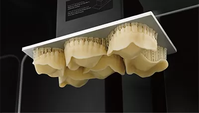 कोशिश-ए 2 रिसिन में