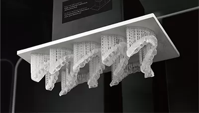 स्प्रिंट राल