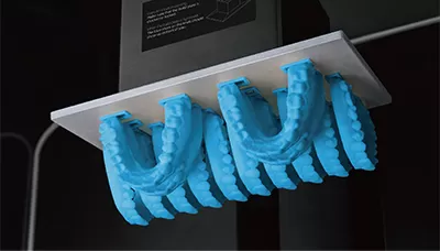 मॉडल डब्ल्यूडब्ल्यू राल