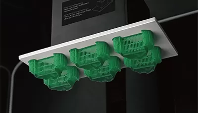 रेसिन डाली