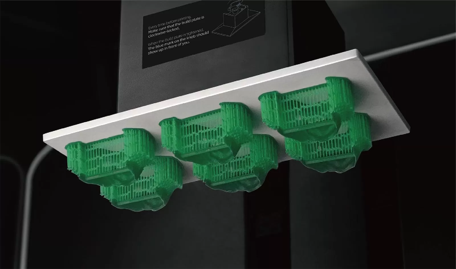 रेसिन डाली