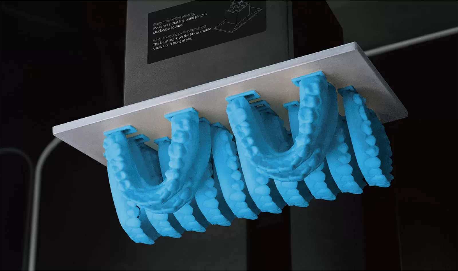 मॉडल डब्ल्यूडब्ल्यू राल