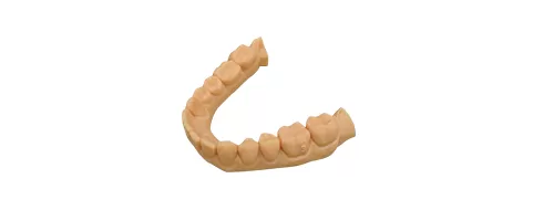 मॉडल एक्स राल