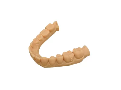 मॉडल एक्स राल