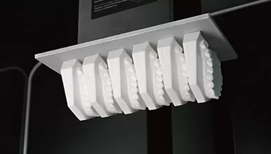 रिकॉर्ड मॉडल राल