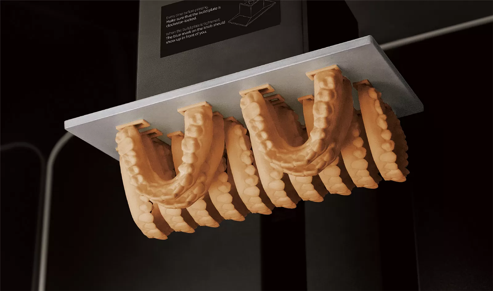 मॉडल एक्स राल