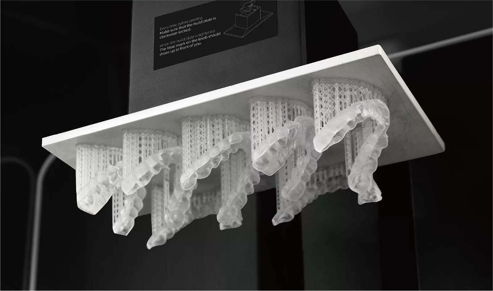 स्प्रिंट राल