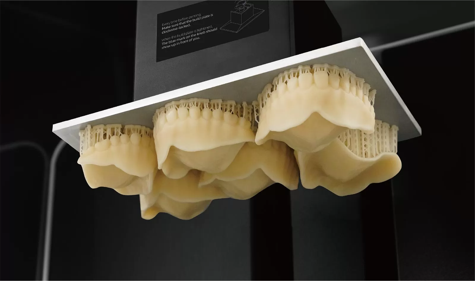 कोशिश-ए 2 रिसिन में