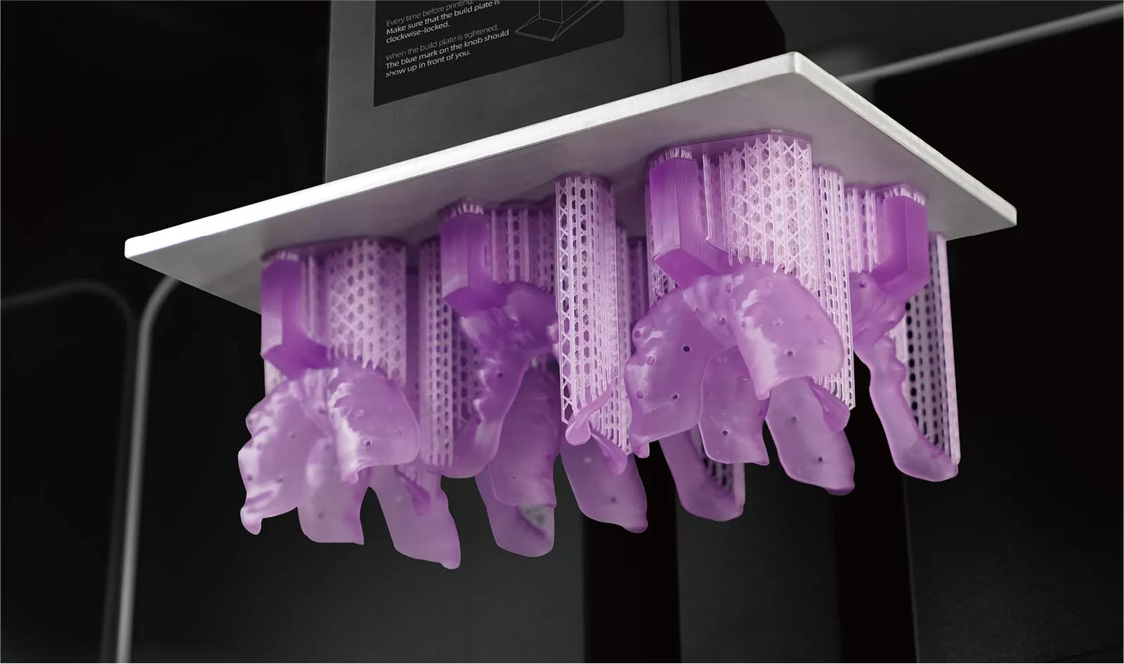 ट्रे बैंगनी राल