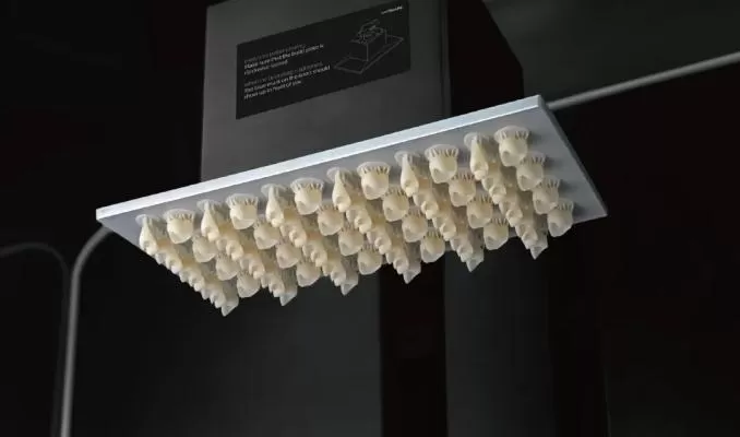 Crown & Bridge Resin: TTC&B